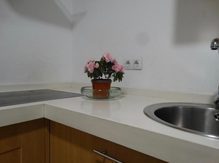 Pleno Centro Muy Luminoso Appartement Córdoba